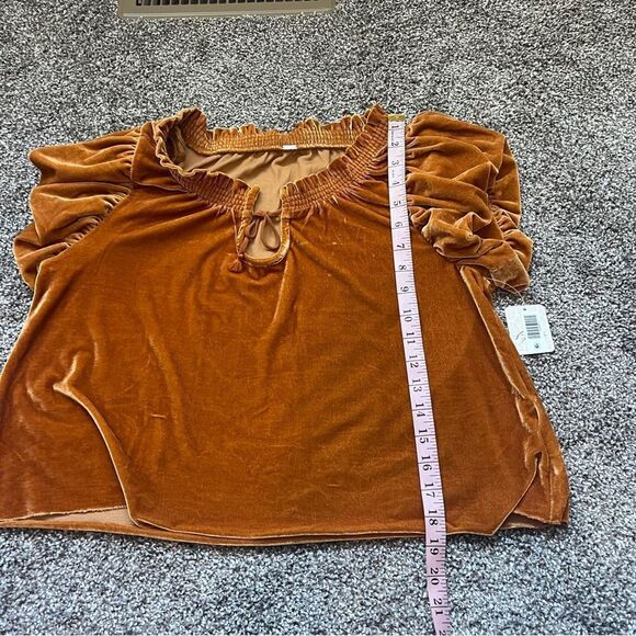 NWT Free People Terese Velvet Top in Pumpkin Pie | size XS - Picture 7 of 9
